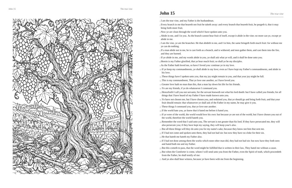 A spread from The Gospel of John: on the left a detailed coloring page of an ancient grapevine above a terraced valley; on the right the full text of John 15 in the King James Version with ruled journaling space