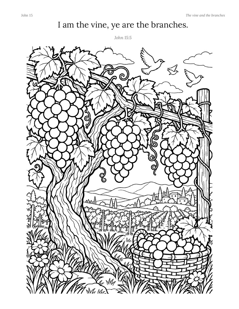 Coloring page: a heavy grapevine on its post with bunches of grapes, a basket at the foot of it and a vineyard beyond